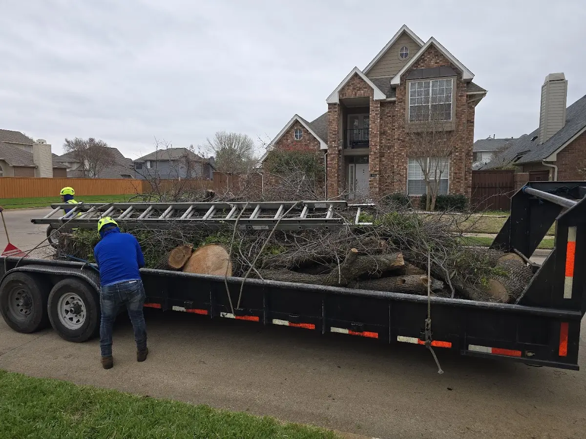 Expert Tree Removal with proper safety equipment in Fitchburg